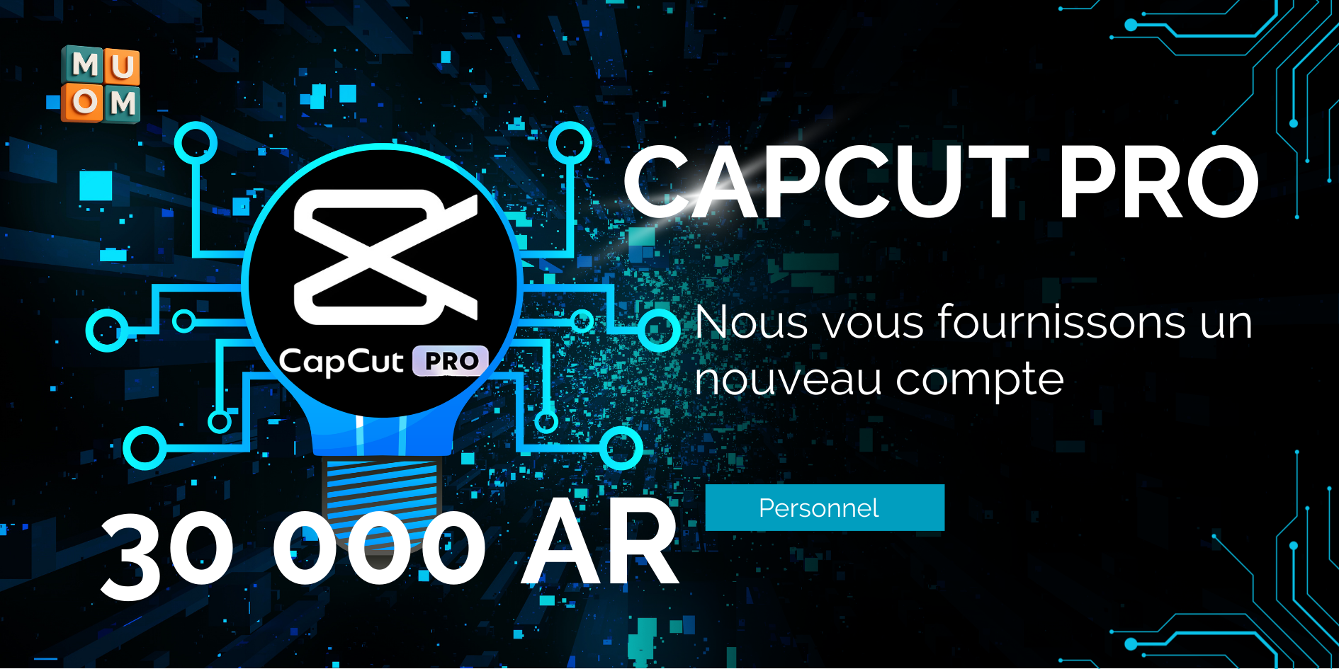 Capcut pro mensuel (compte personnel)